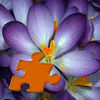 Flowers Puzzles app icon