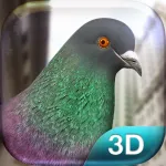 Pigeon Simulator App icon