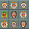 A Baboon Match Romer app icon