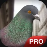 Pigeon Simulator Pro App Icon
