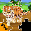 Puzzle Mania Game app icon
