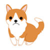 Lost Puppy app icon