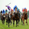 HorseTrader app icon