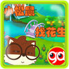 小松树找花生 app icon