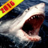 2016 Great White Shark Attack app icon