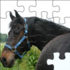 Jigsaw Wildlife Adventures Pro Edition Packs app icon