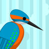 Birds Birds Birds app icon