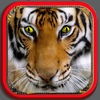 Funny Animals Puzzle for Kids app icon