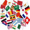 Flyer Flag app icon