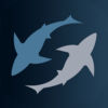 SHARK! SHARK!! SHARK!!! app icon