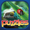 Bugs & Reptiles Puzzle Premium app icon