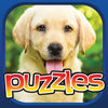 Dog Puzzle Premium app icon