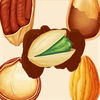 美味坚果宝宝最爱玩的益智游戏 app icon