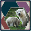 HexSaw app icon