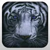 2016 Wild Hunting Simulation 3D Adventure Pro App icon