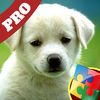10*16 Jigsaw Puzzles For Kids (Pro) app icon
