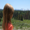 VIOLETsFOREST app icon