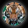 Wild King Lion Extreme Jungle Hunting Pro App icon