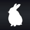 Cosmic Hare app icon