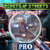 Secrete Of Street Mystery app icon