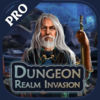 Dungeon Realm Invasion Pro app icon