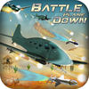 Battle Plane Down Pro app icon