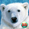 Wild White Polar Bear Simulator Full App Icon