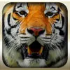 Epic Animal Hunter 3D Simulation 2016 Pro : Wild Jungle App icon