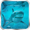Pro Game app icon