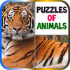 Puzzles of Animals app icon
