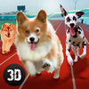 Dog Racing Tournament Sim 3D Full icon