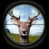 Deer Hunting Simulator Gold 2017