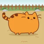 Cat Evolution App icon