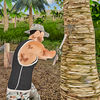 Survival Island Warrior Escape App Icon