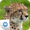Animal Puzzle only Kids icon