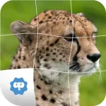 Animal Puzzle only Kids App icon