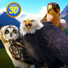 Wild Bird Survival Simulator Full icon