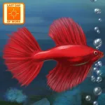 Fish Tycoon App Icon