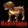 Real Puppy 3D App Icon