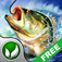 Fishing Champion Lite App Icon