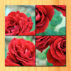 PicSlide (Universal) app icon