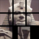 AQ’s Pro Slider Puzzle: Egypt app icon