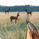 Redneck Hunter : Big Buck Deer Trip app icon