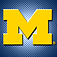 Michigan Wolverines College SuperFans