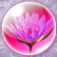 Zepi:Spring app icon
