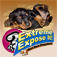 Extreme Expose It! Bad Bad Doggie! App Icon