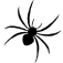 Spider Solitaire Classic App Icon