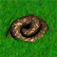 Pooper Scooper: The Game app icon