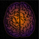 DualBrain plus Level Up Your Brain! app icon