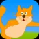 Crazy Cat App Icon